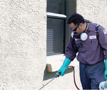 chemical pesticides