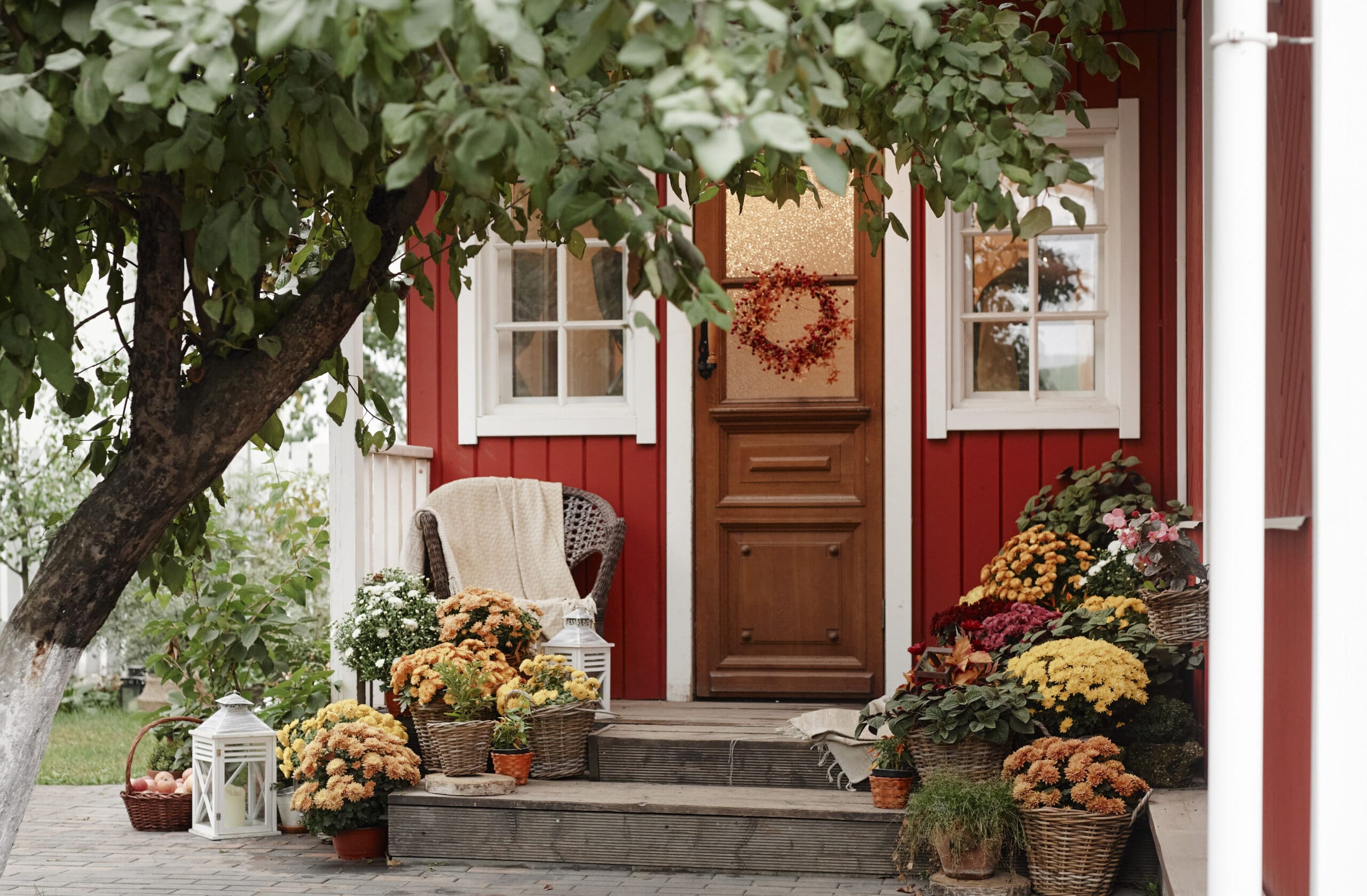 Front porch of village house decorated with potted flowers and wicker chair, tree branches framing entrance, autumn plants arranged on wooden steps, rural outdoor setting