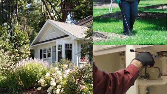 How Does Pest Control Affect the Environment?
