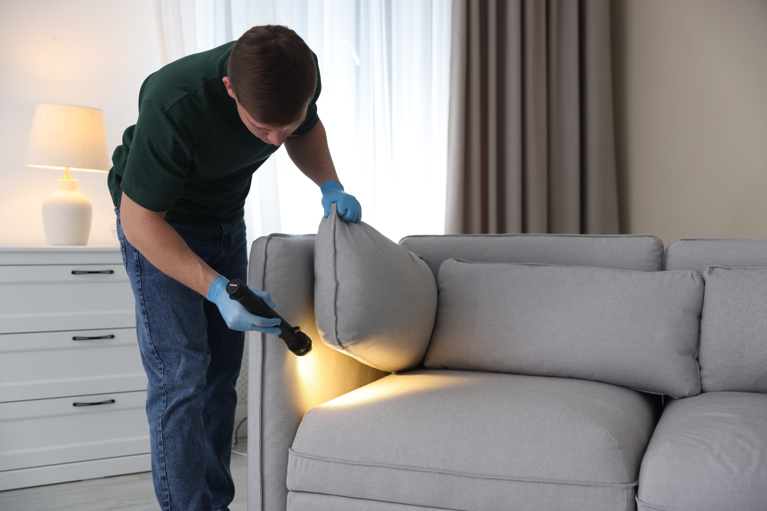 A pest control technician inspecting a grey sofa with a flashlight.